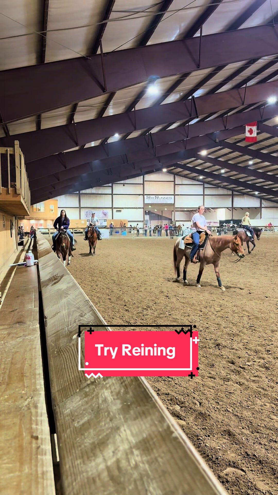 @yourhorseandponyleader