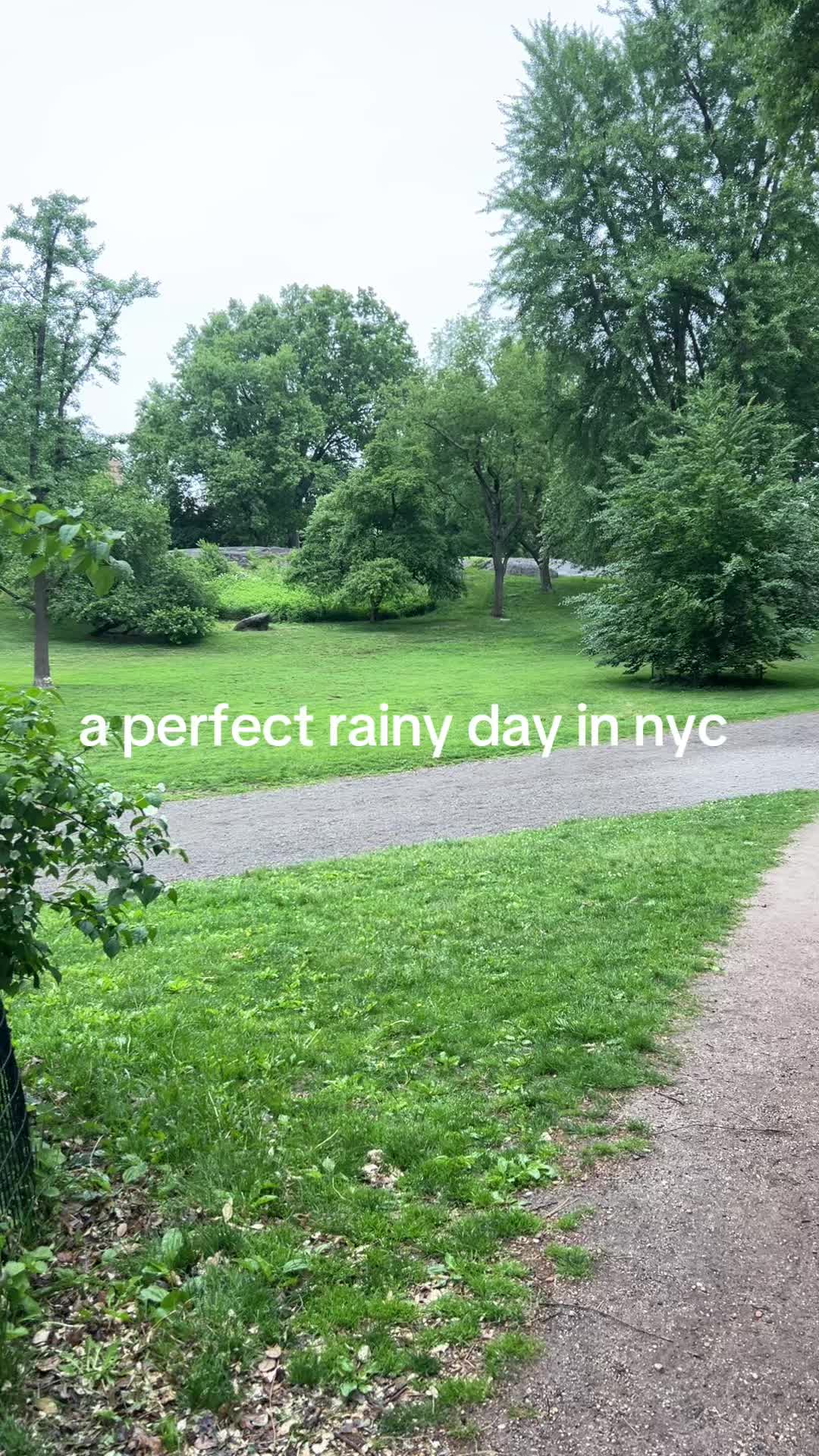 @Ava