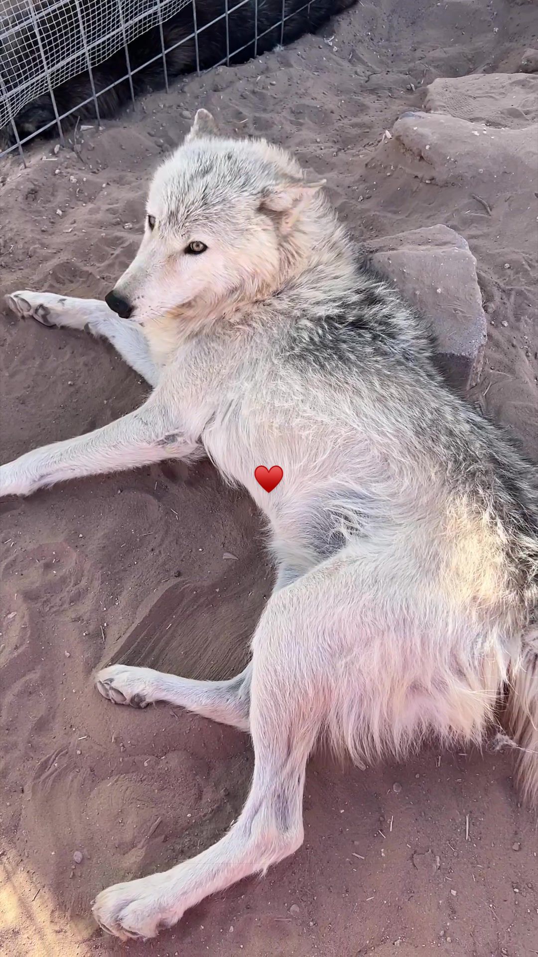 @KeeperOfTheWolves