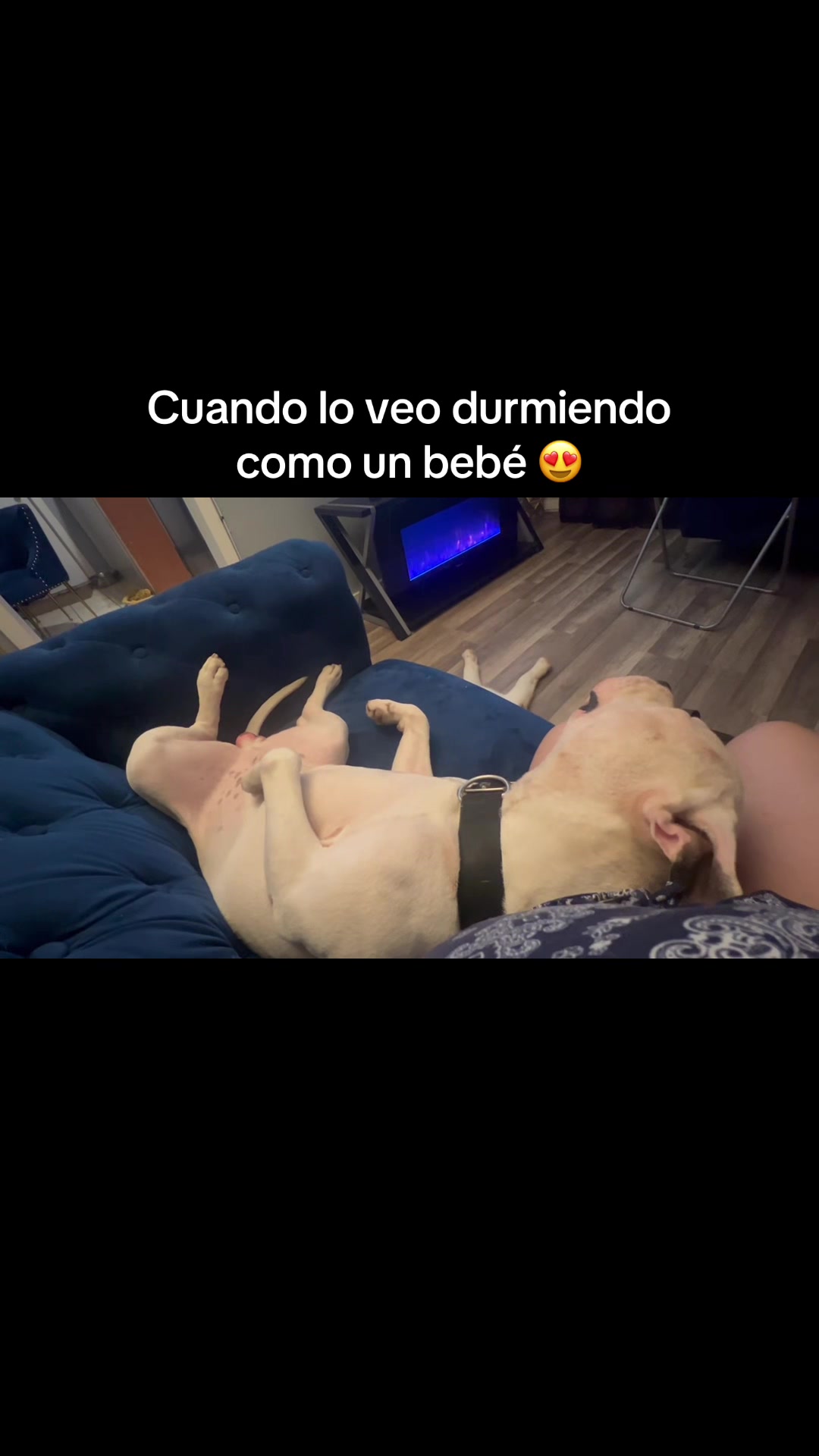 @katydiaz_1