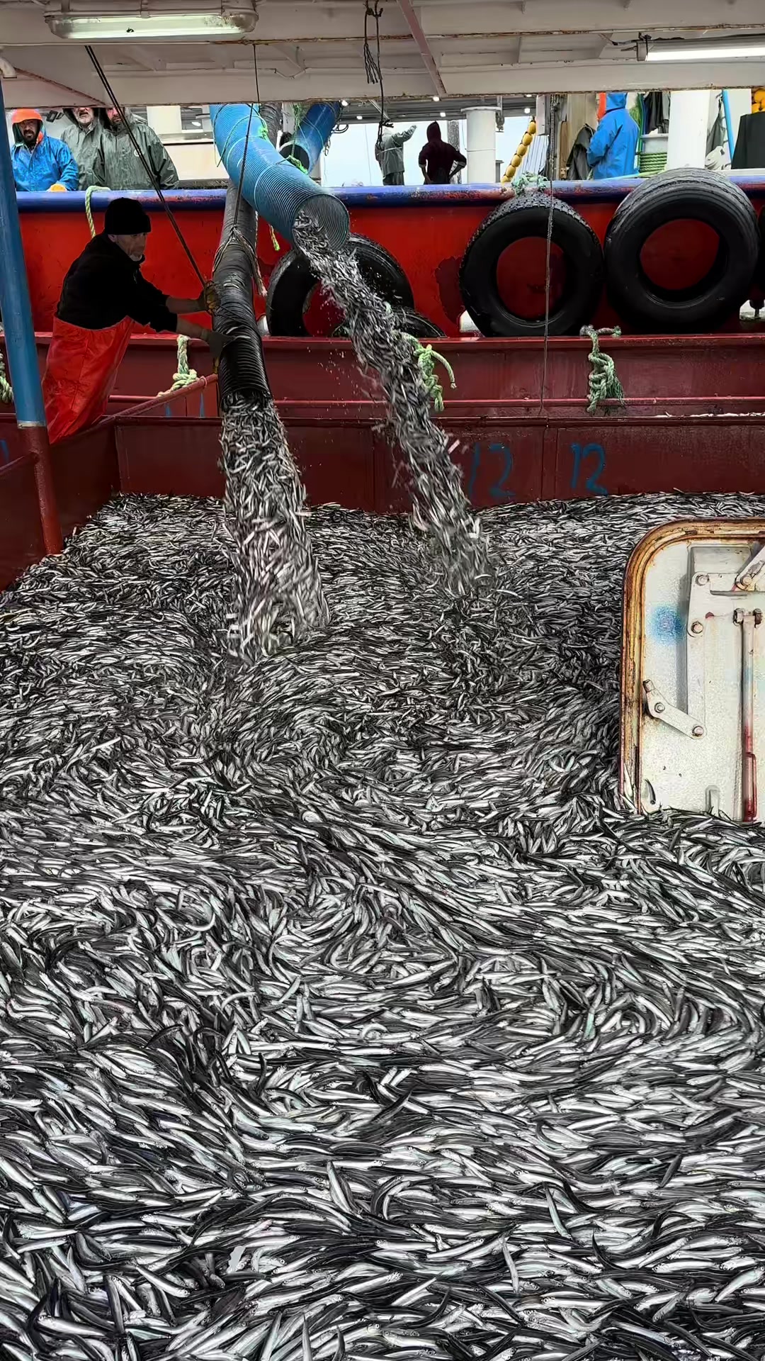 @🛳️h&agrave;m&igrave;d&oslash;⚓⚡R&aelig;ys&euml;🐬🏴&zwj;☠️