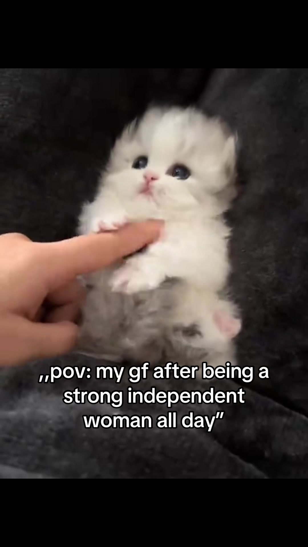 @𝒞𝑜𝒹𝓇𝒾𝓃