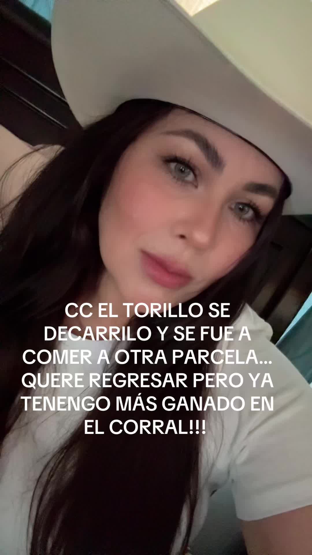 @Oibarra🌙