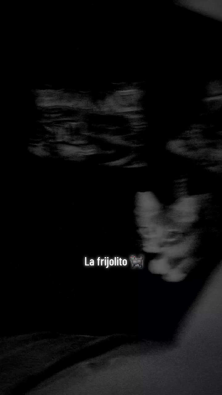 @frijolito 🐈&zwj;⬛