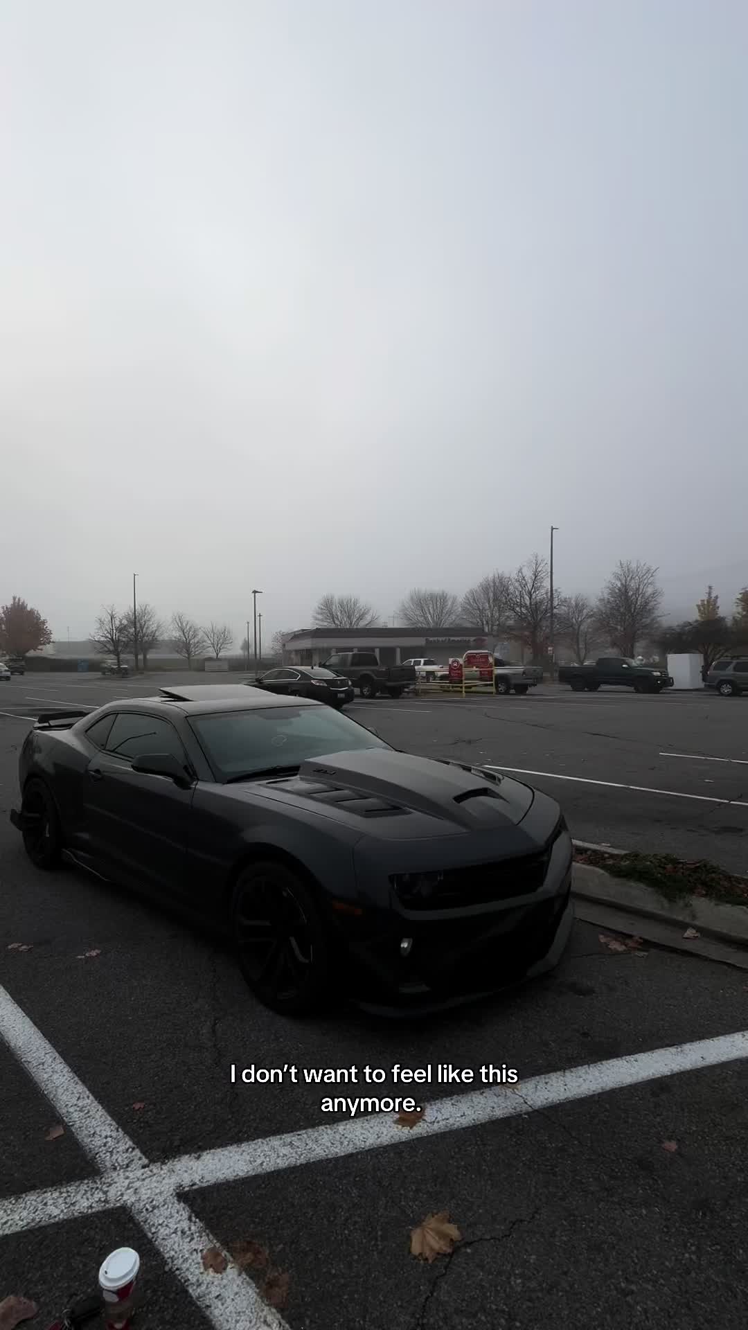@midnight_zl1
