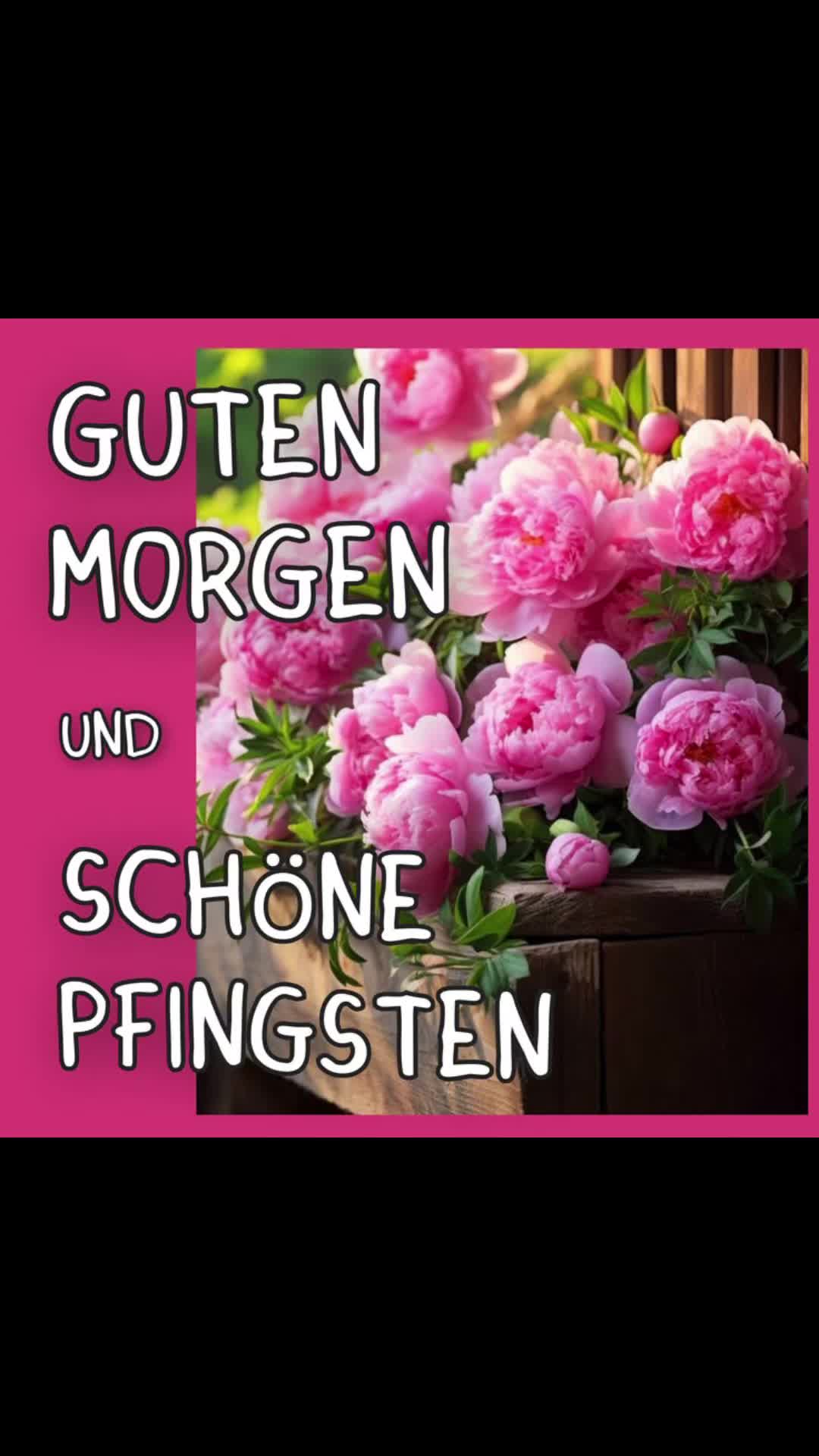@dagmarschoondy
