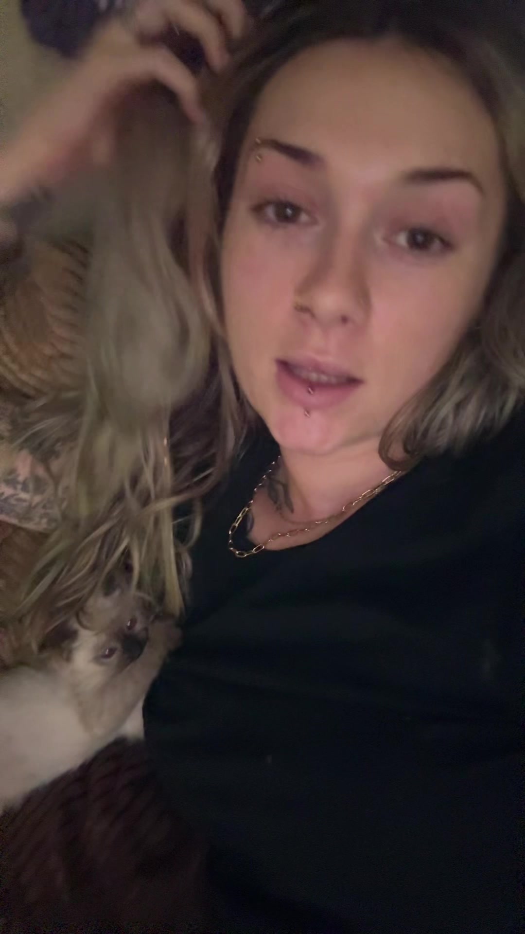 @taylor.didit