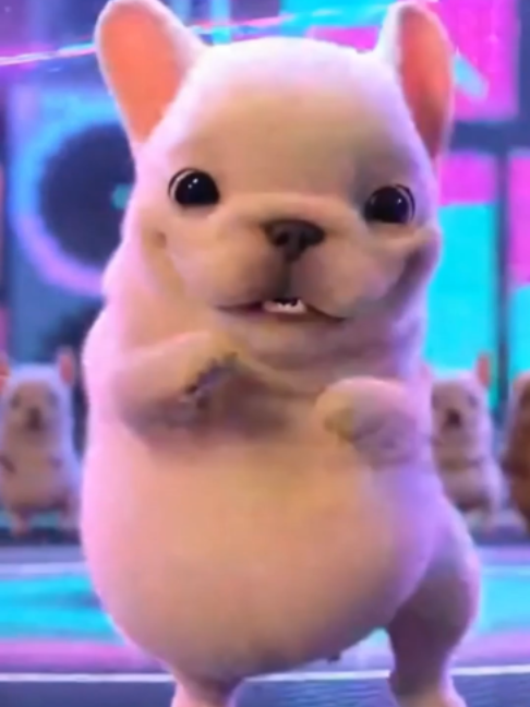 @pibblefluencer