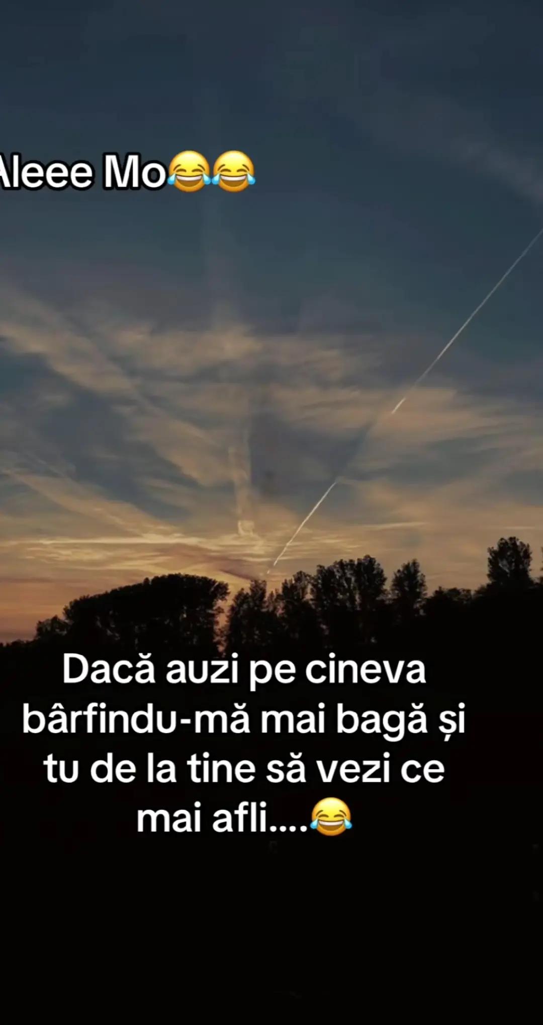 @Niko