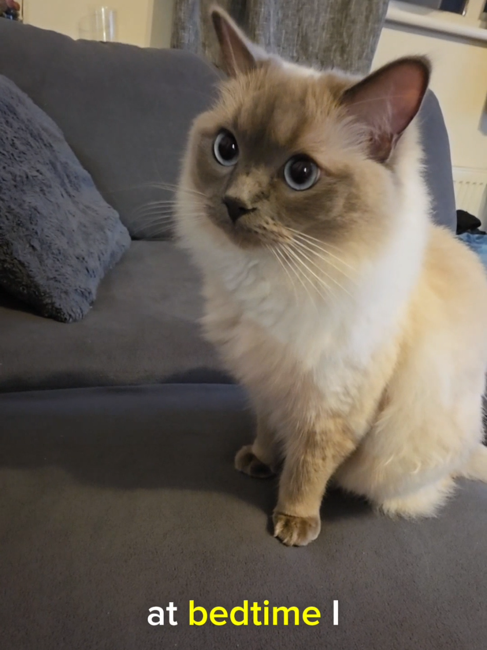 @DailyDoseOfBlu💙
