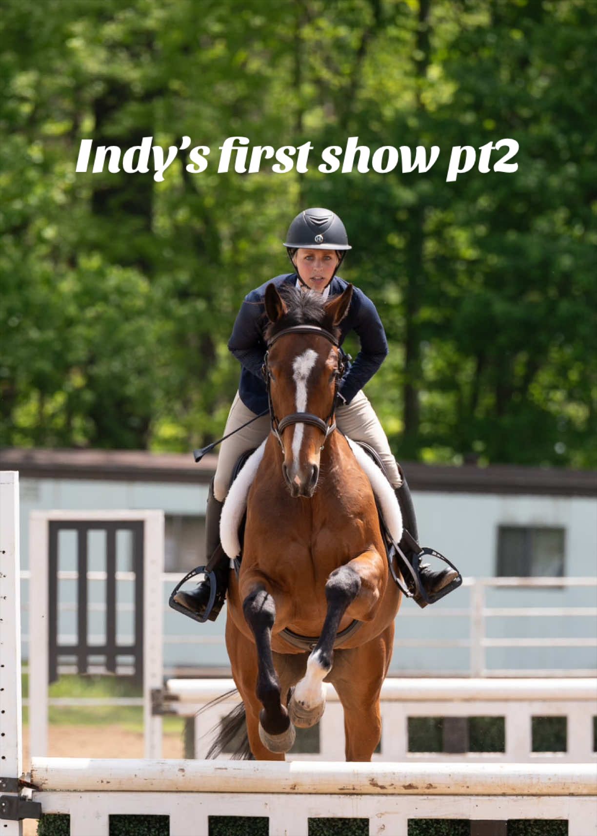 @Lunar Hill Equestrian