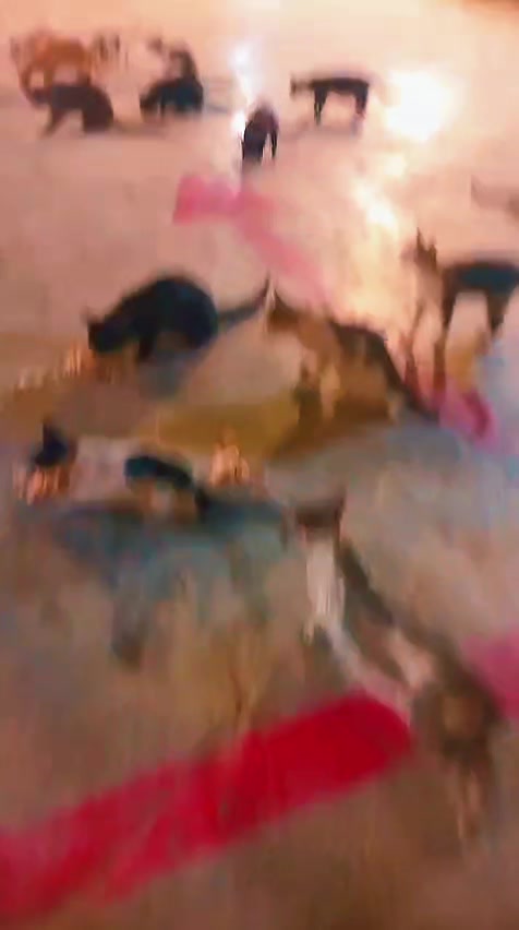 @K&Atilde;SH&Iuml;F N&Aring;V&Egrave;&Eacute;D