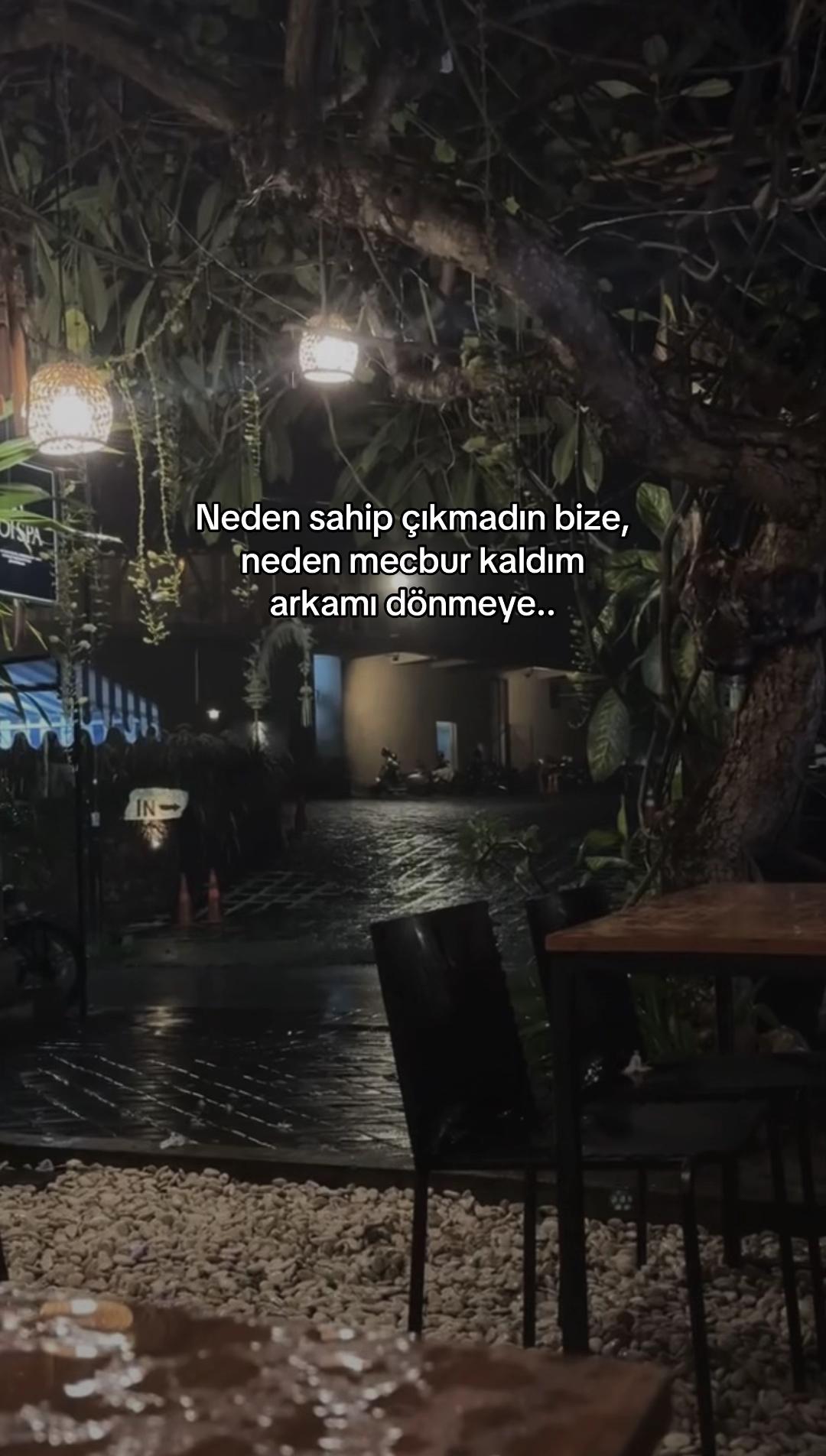 @seviyorgibiydin24
