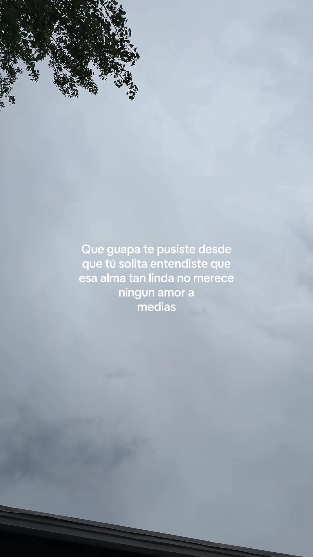 @Frases de todo un poco...