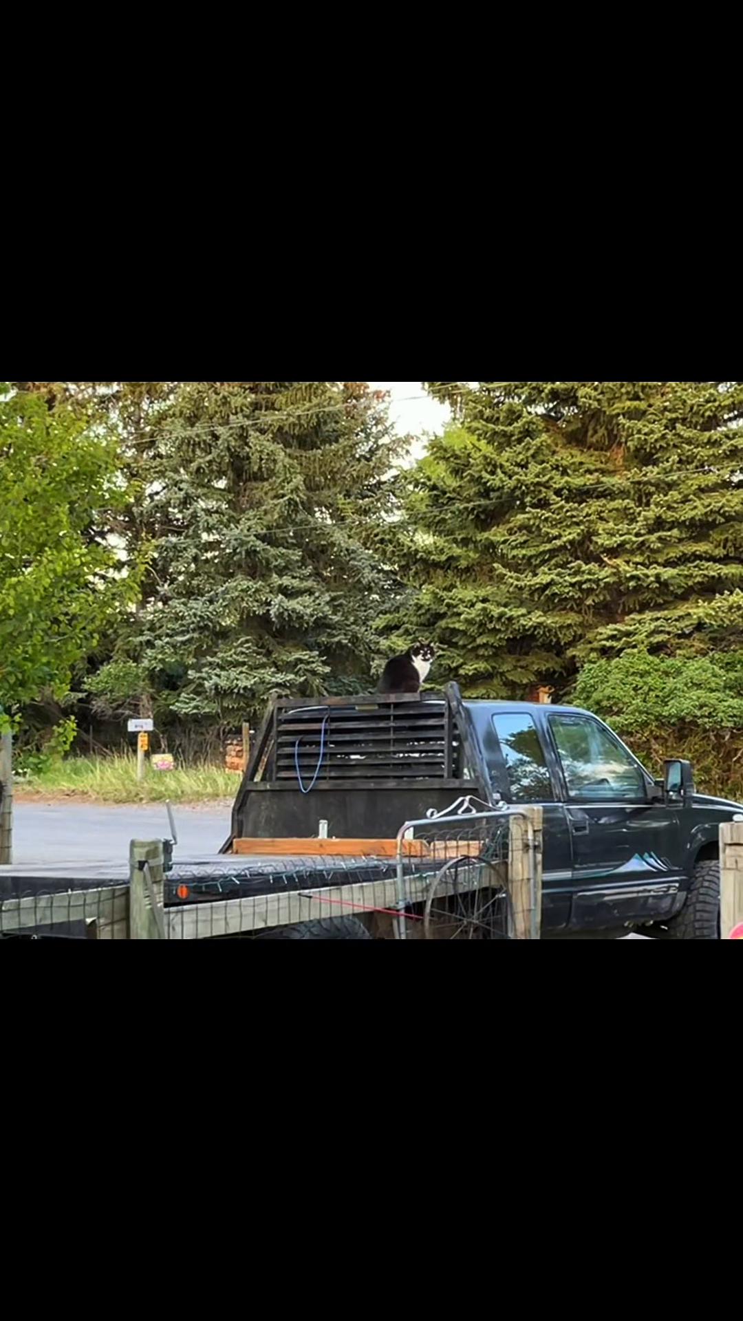 @chuck383