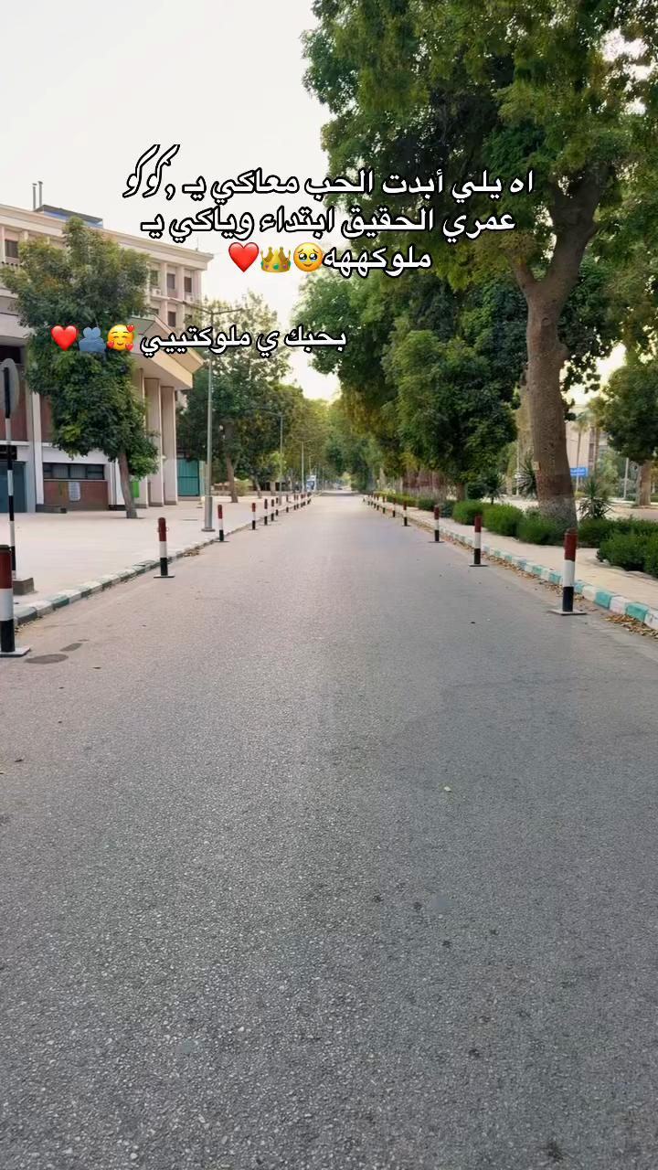 @بـحـب مـلـك 👀🎀