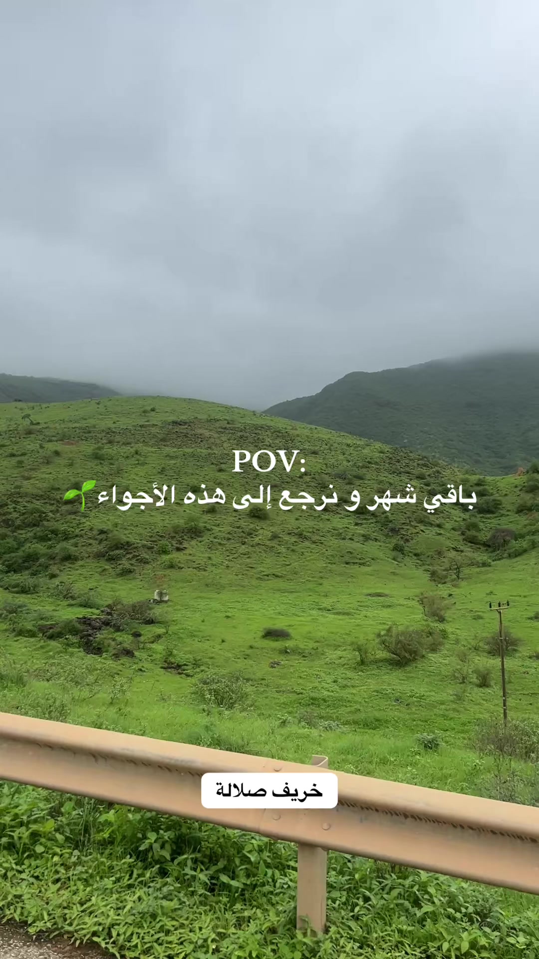 @روري 🦋