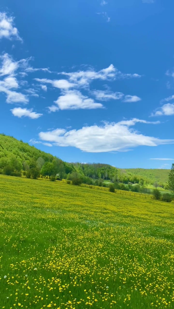 @𝓛𝓸𝓴𝓶𝓪𝓷𝓑52