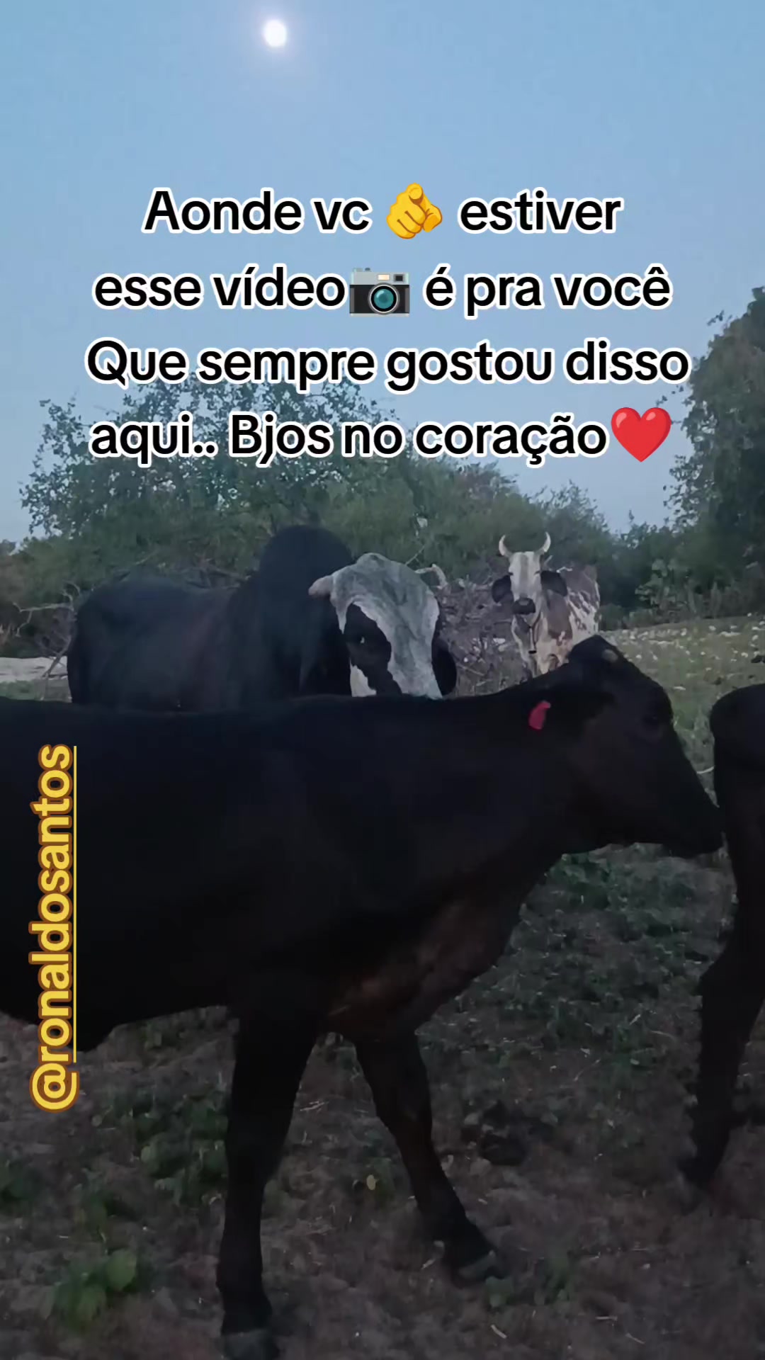 @ronaldosantos