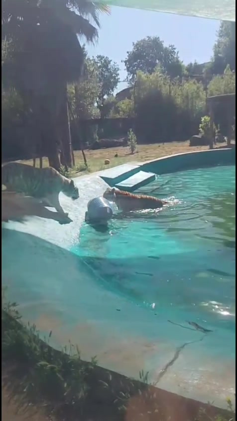 @Parco Zoo delle Star