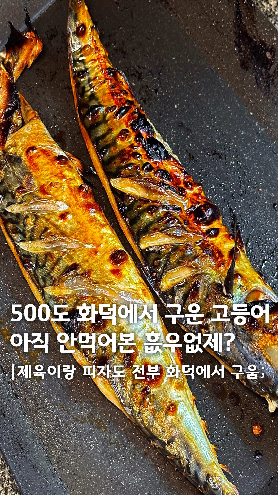 @맛탐견