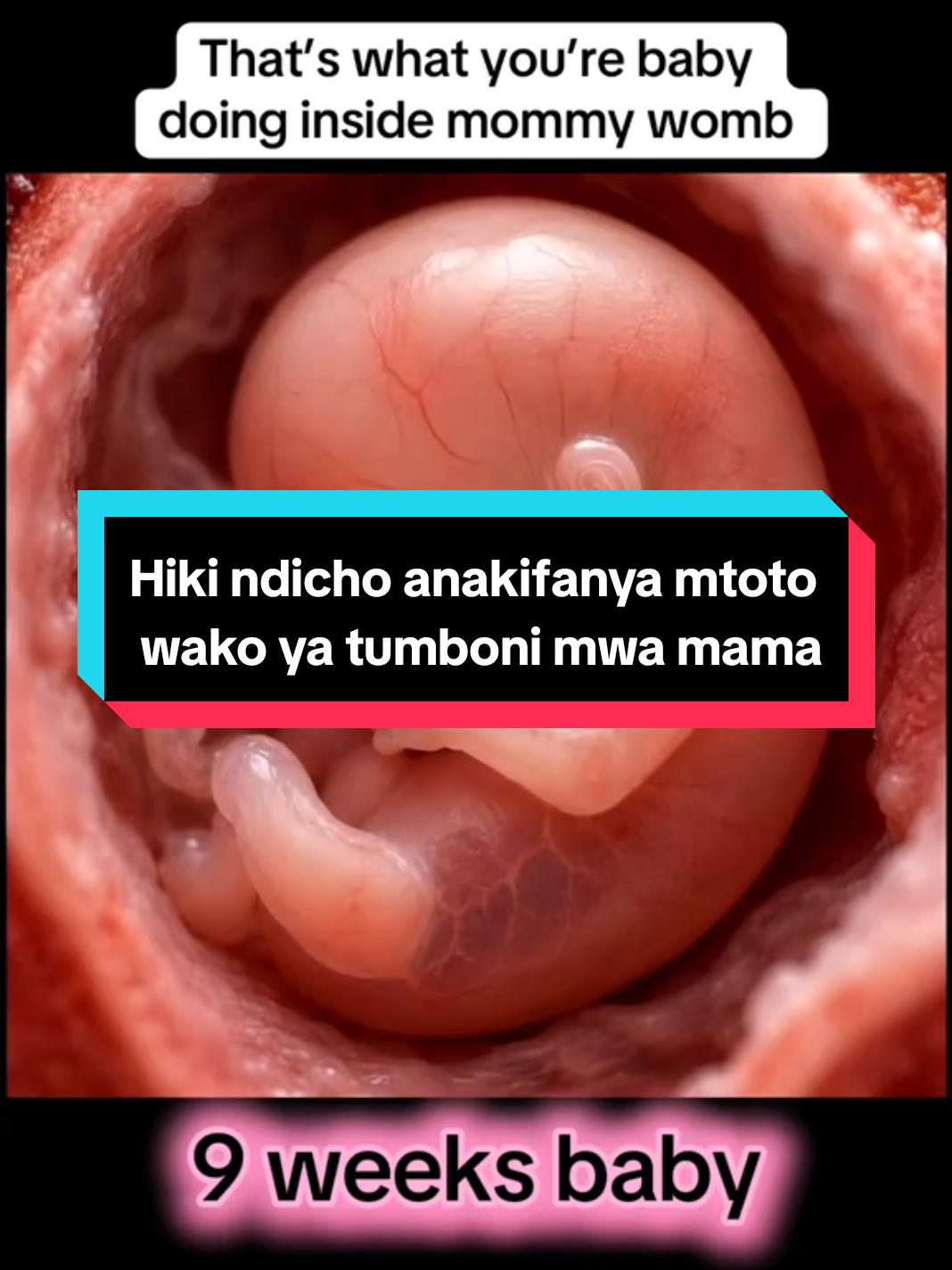 @Dr Mnyele