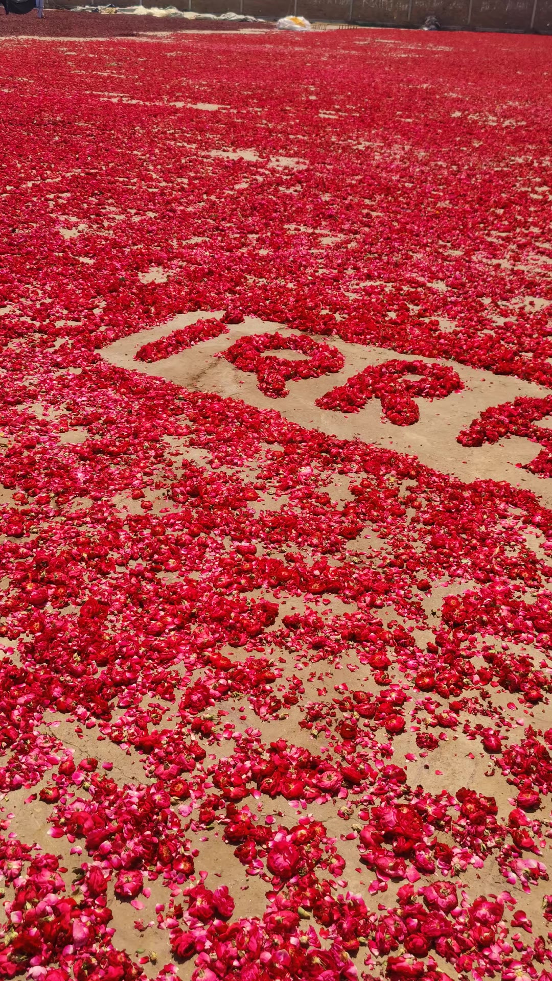 @🥀𝐀𝐙𝐇𝐀𝐑 𝐌𝐀𝐋𝐈𝐊 🥀