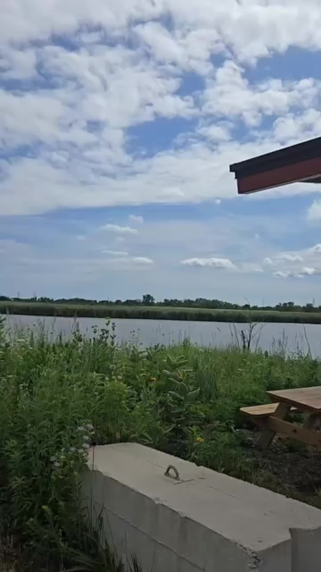 @juliavega376