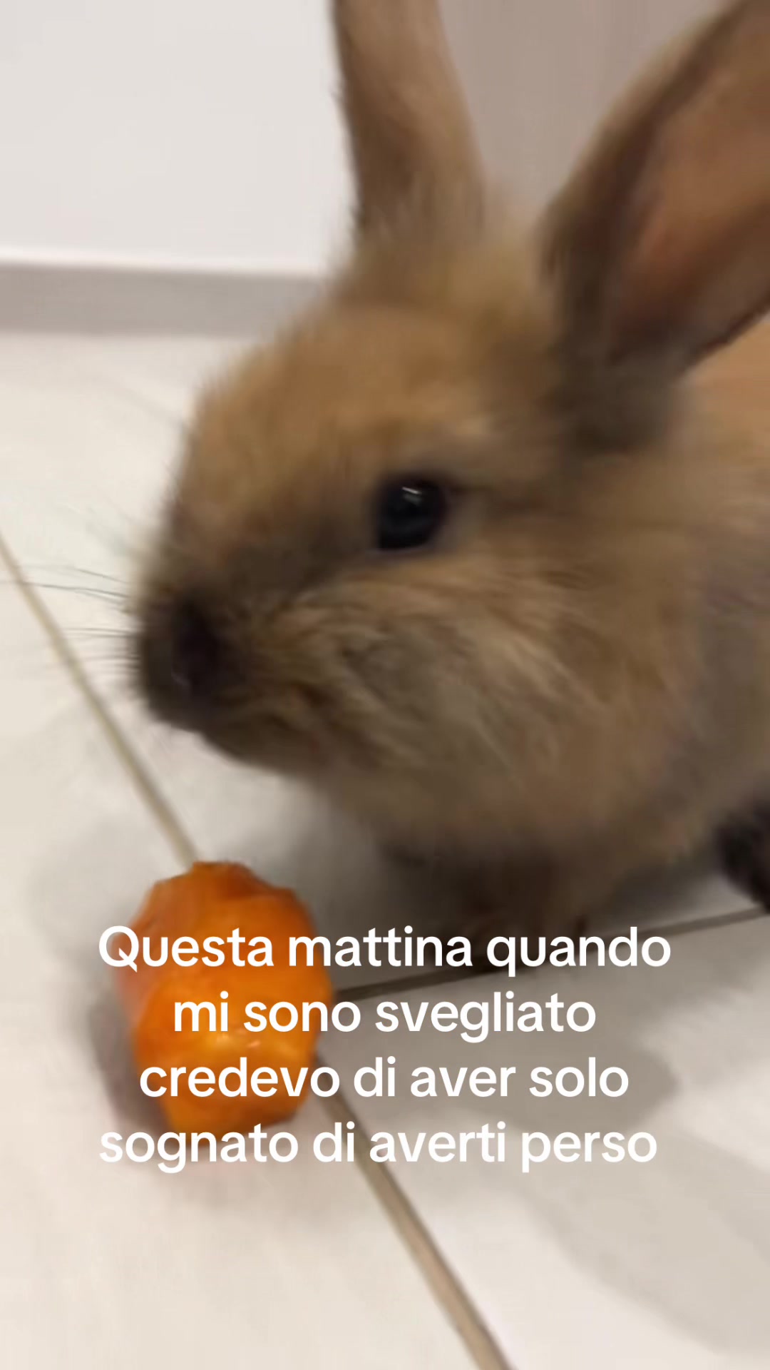 @Samuele Solarino
