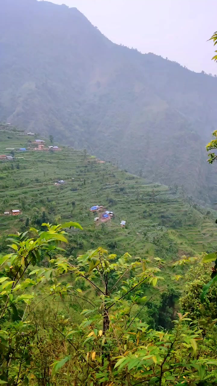 @nepali babu