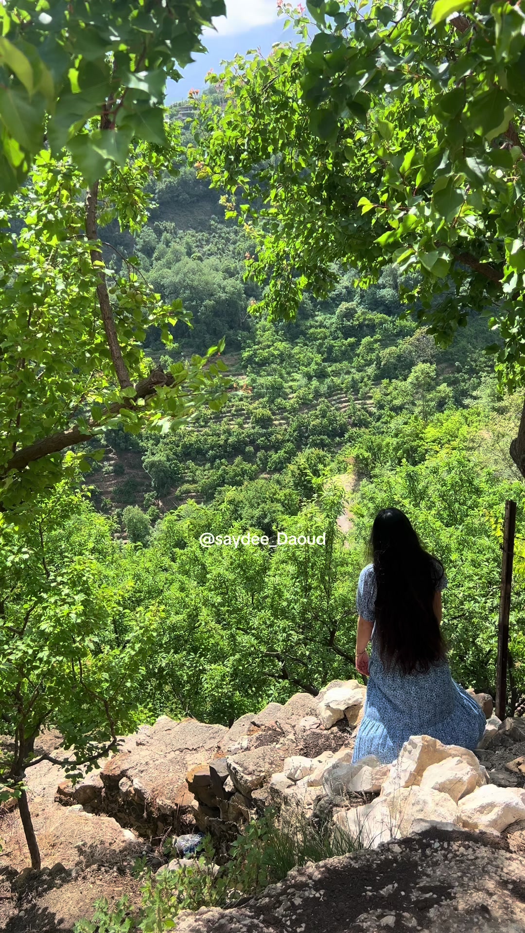 @Saydee | سيدة