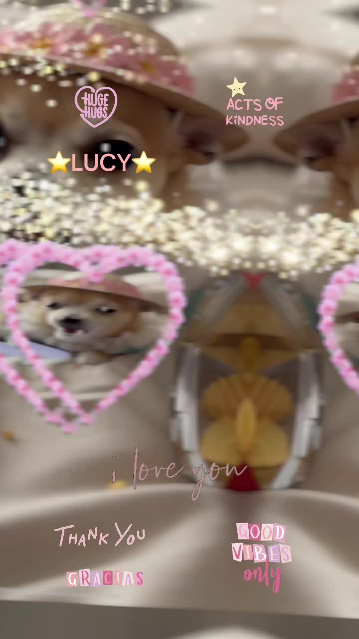 @Lucy