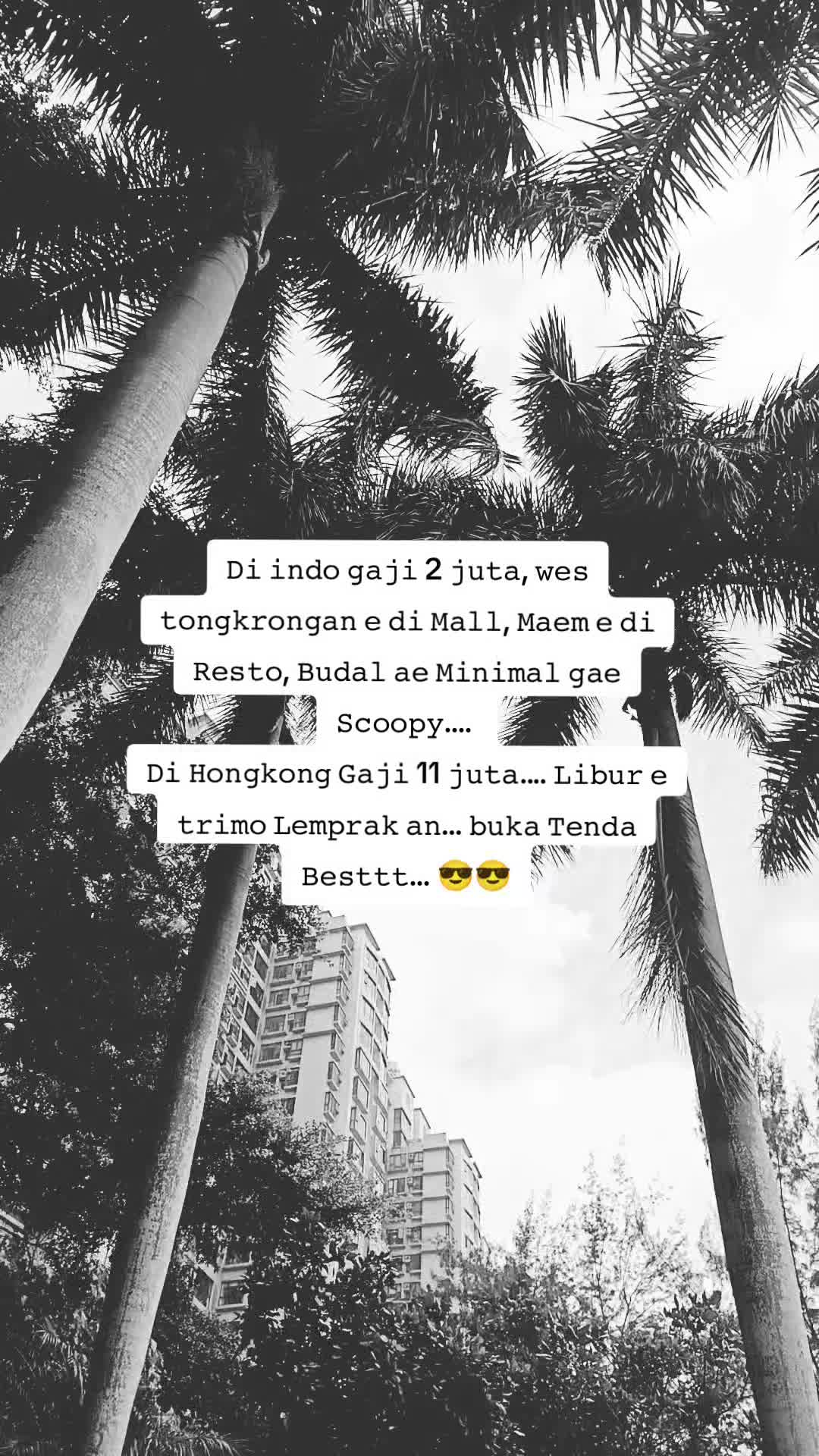 @Aulia Genie