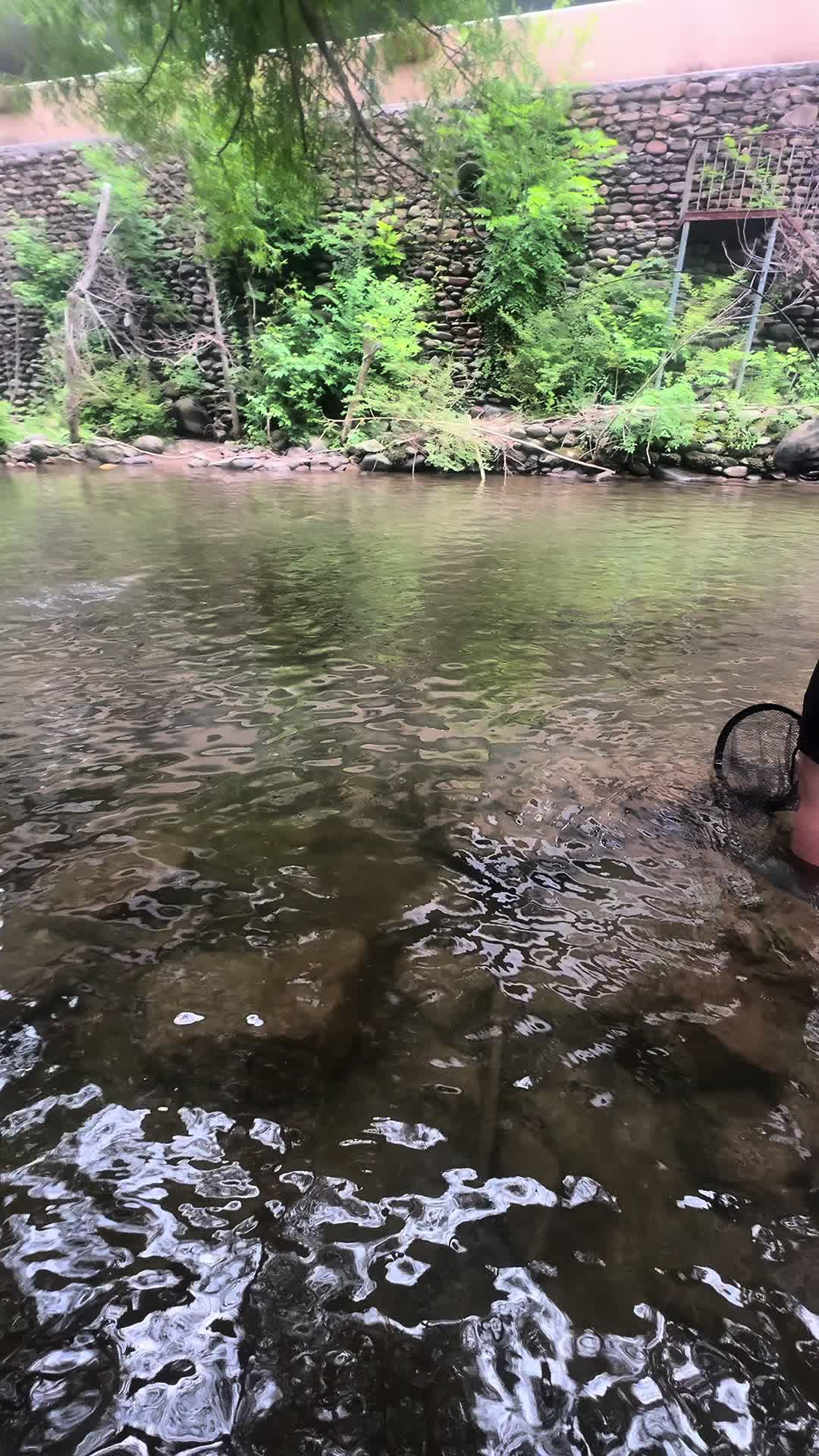 @𝙅𝘽