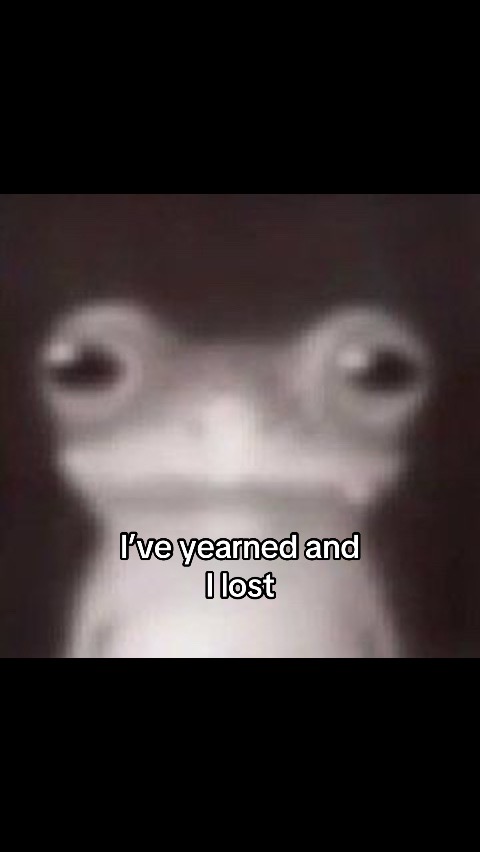 @Gato