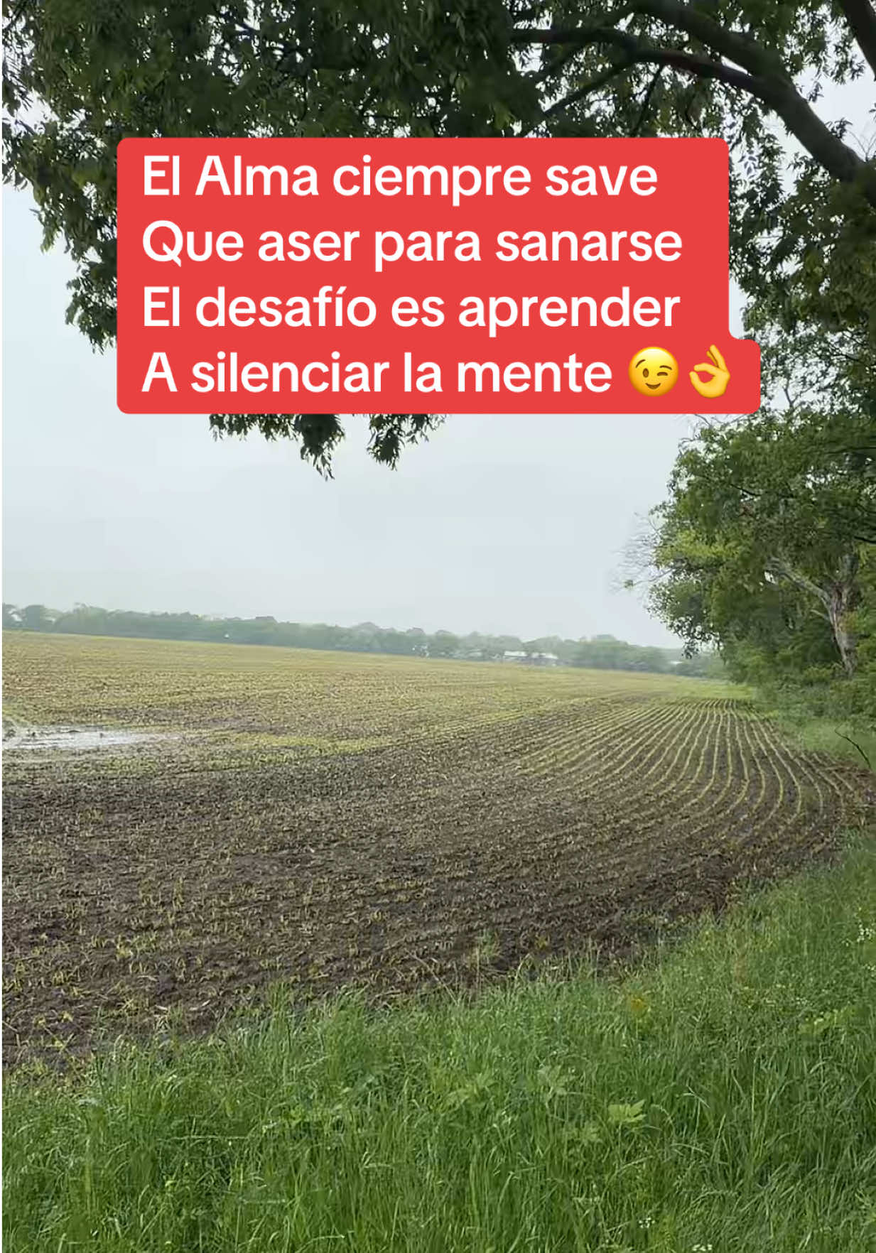 @Omar