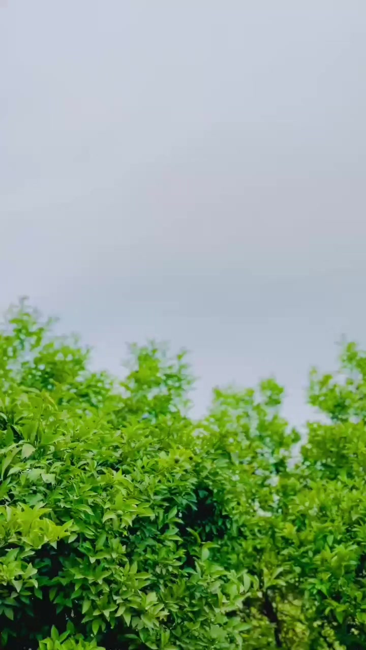 @Mahar shahzaib😍