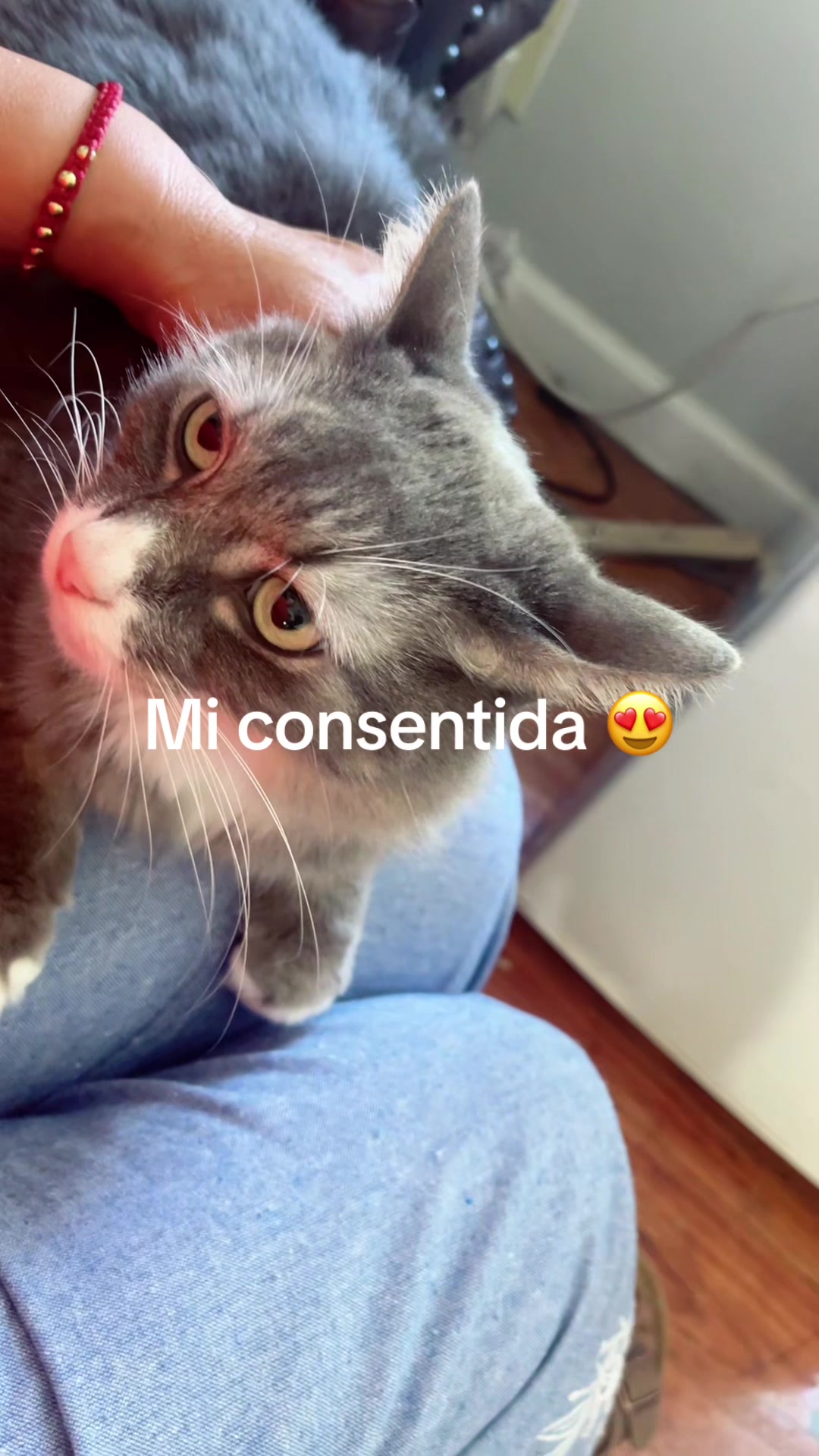 @Consuelo S