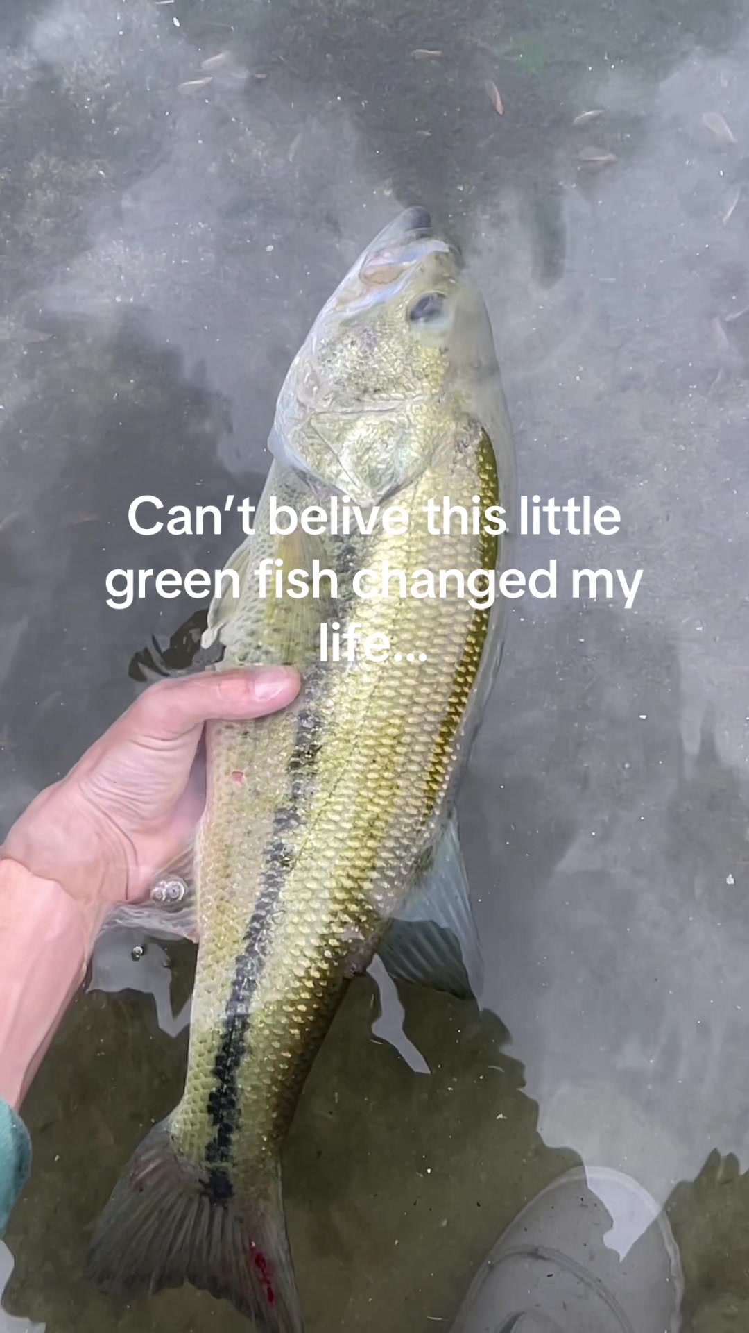 @sams.fishing_