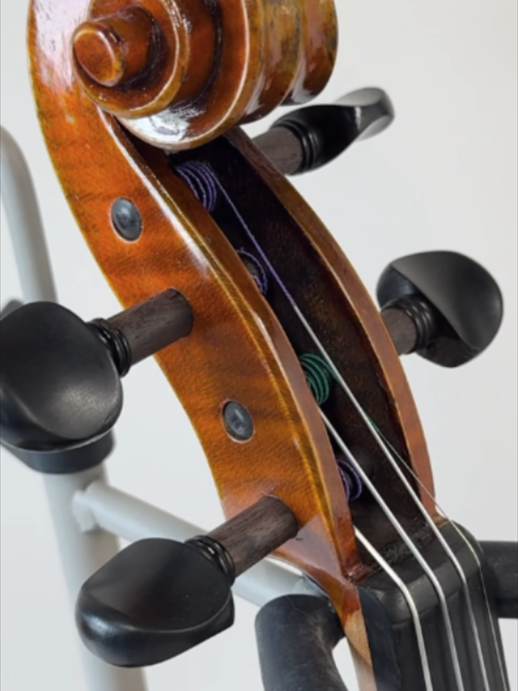 @Johnson String Instrument