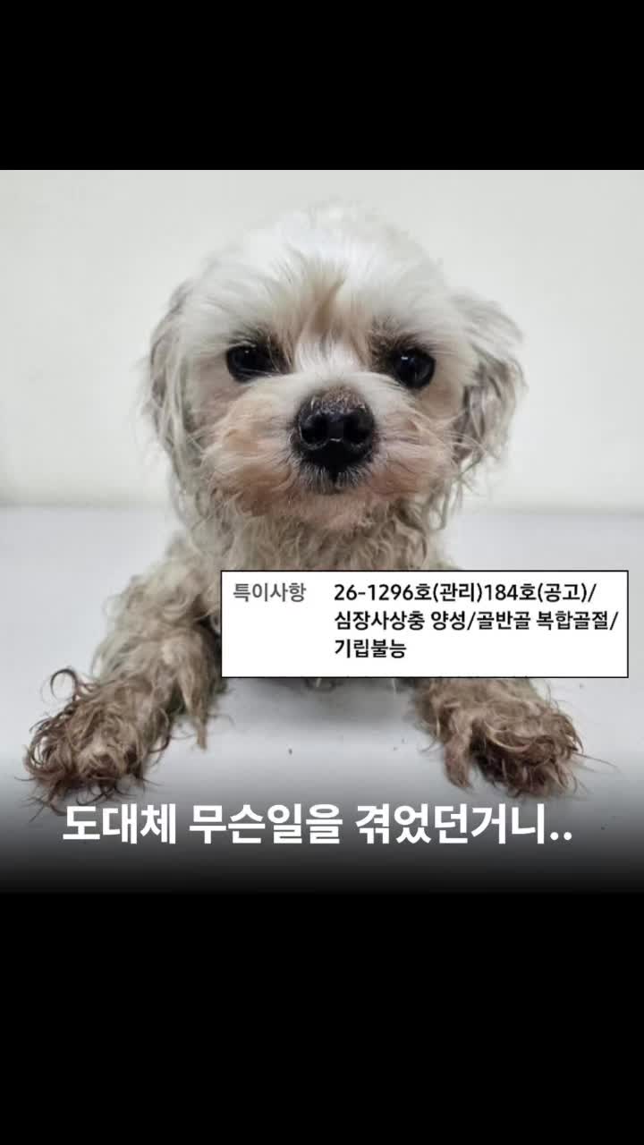 @엄지맘