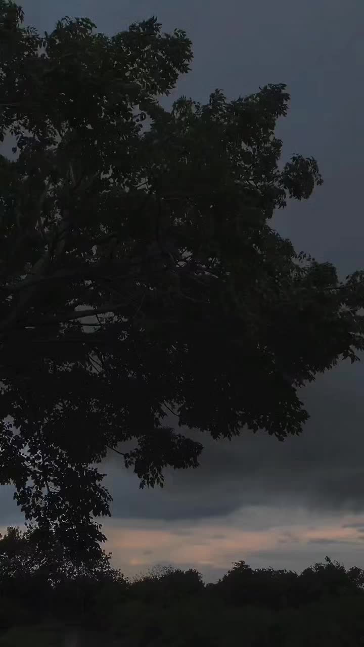 @𝙴𝙲𝙻𝙸𝙿𝚂𝙴𝙰 🌙