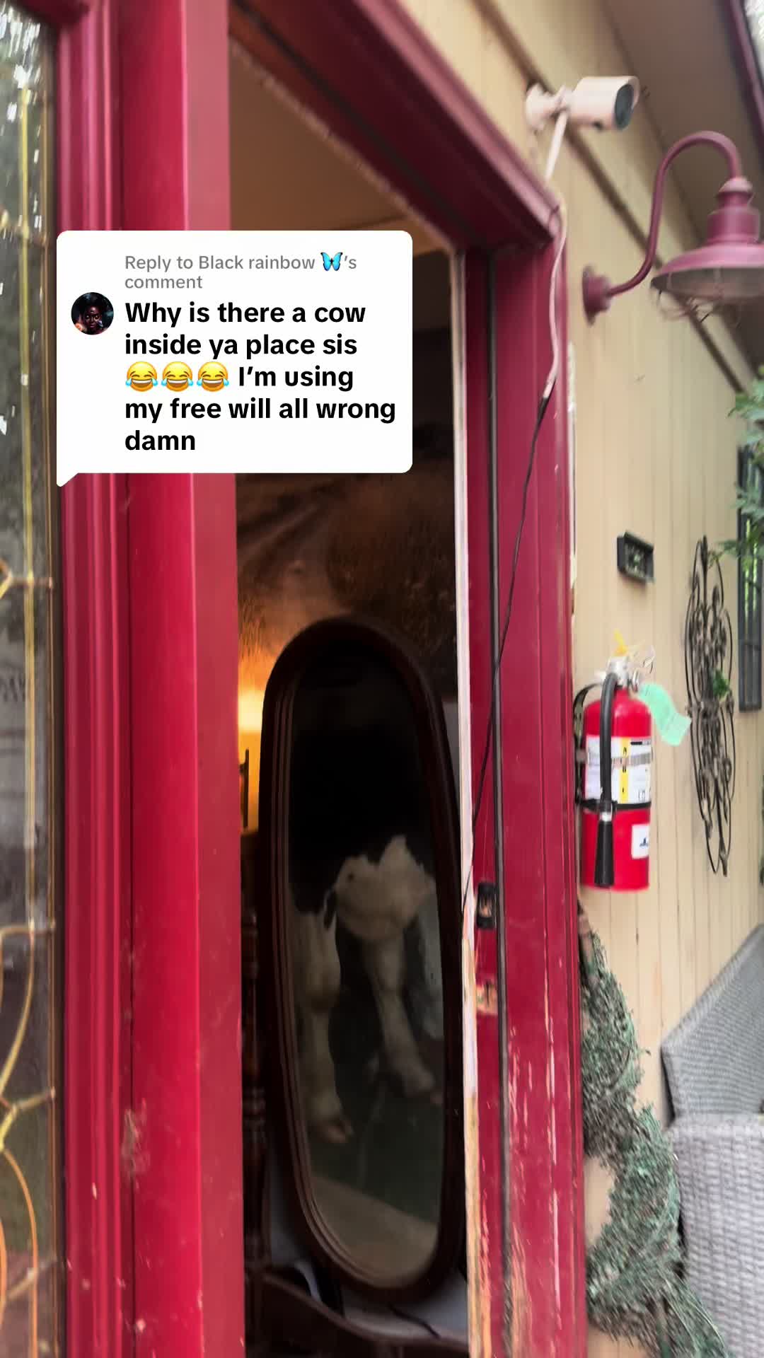 @Billy The Bad Ass Horse