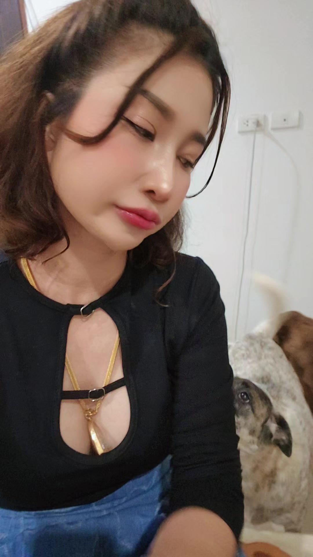 @ดอกลั่นทม..