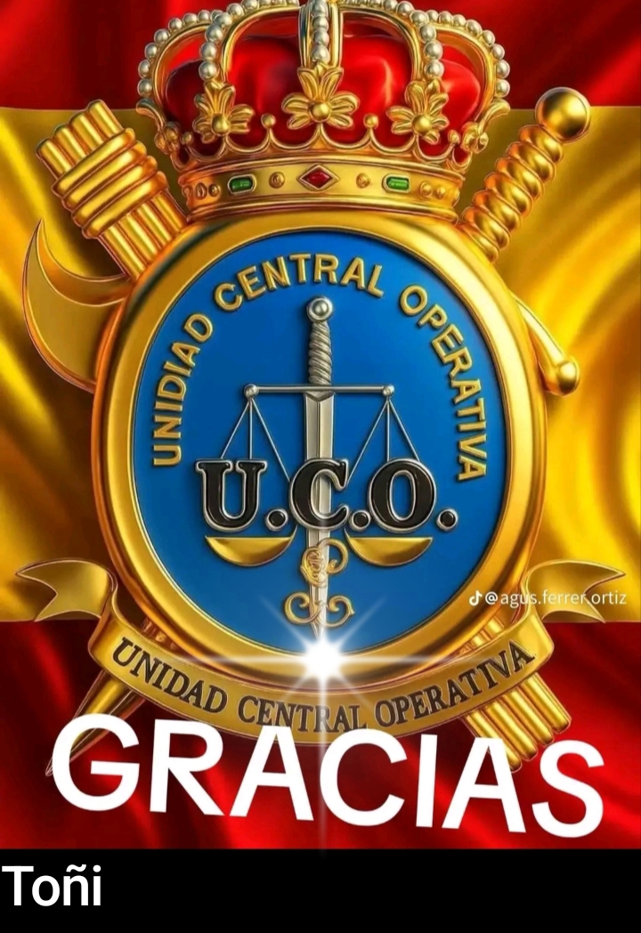 @To&ntilde;i