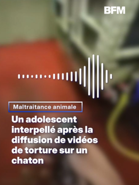 @BFMTV