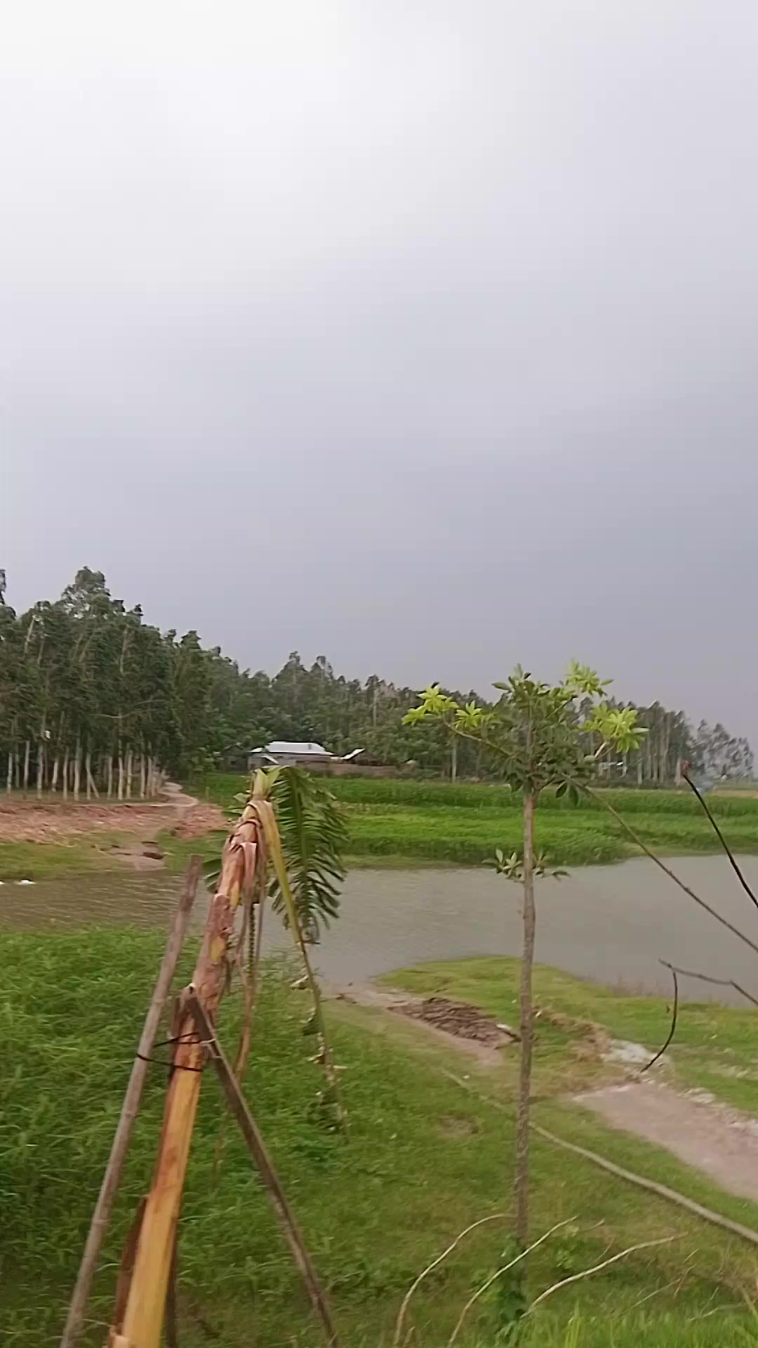 @চিলমারী