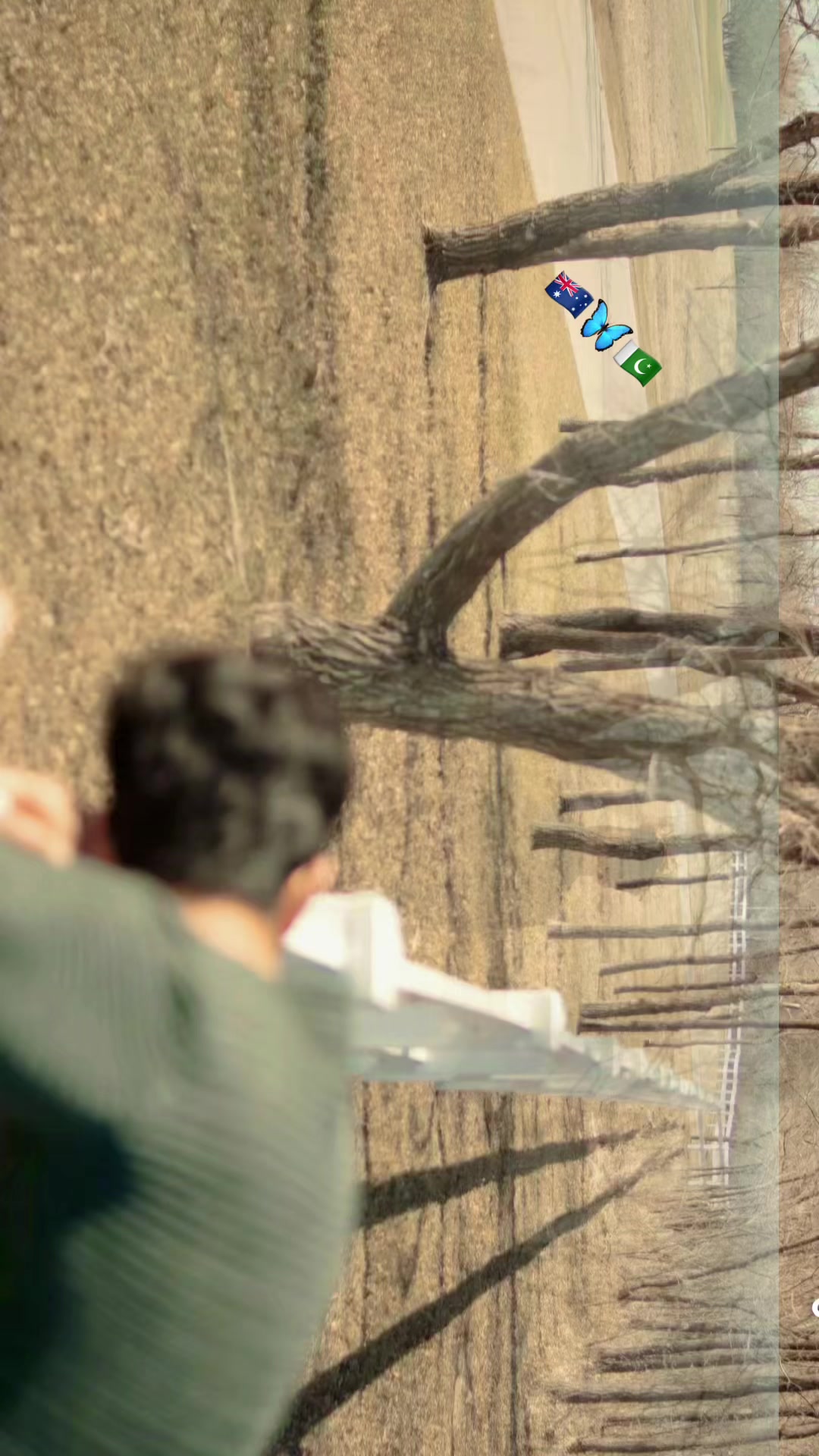 @Mohra Langrial Beetal1
