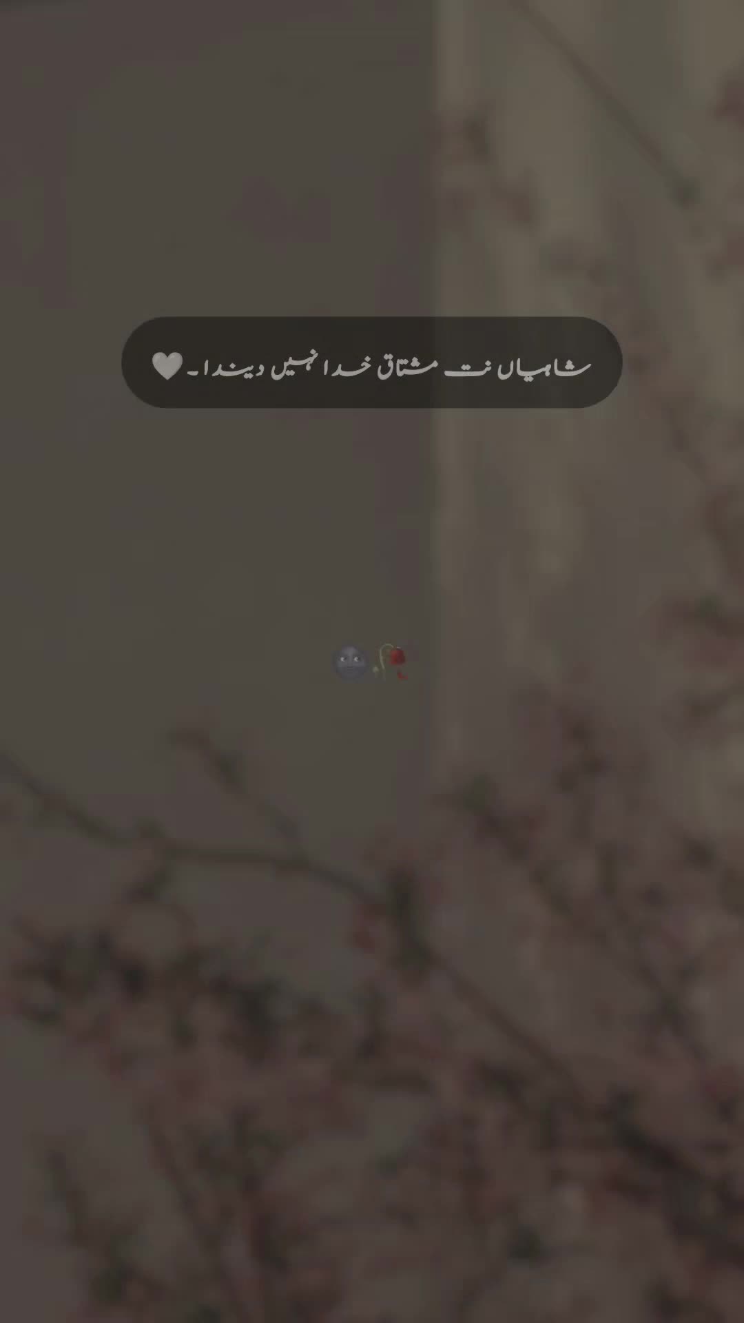 @๐ ๐ ๐ ๐ข ๐๐ซ
