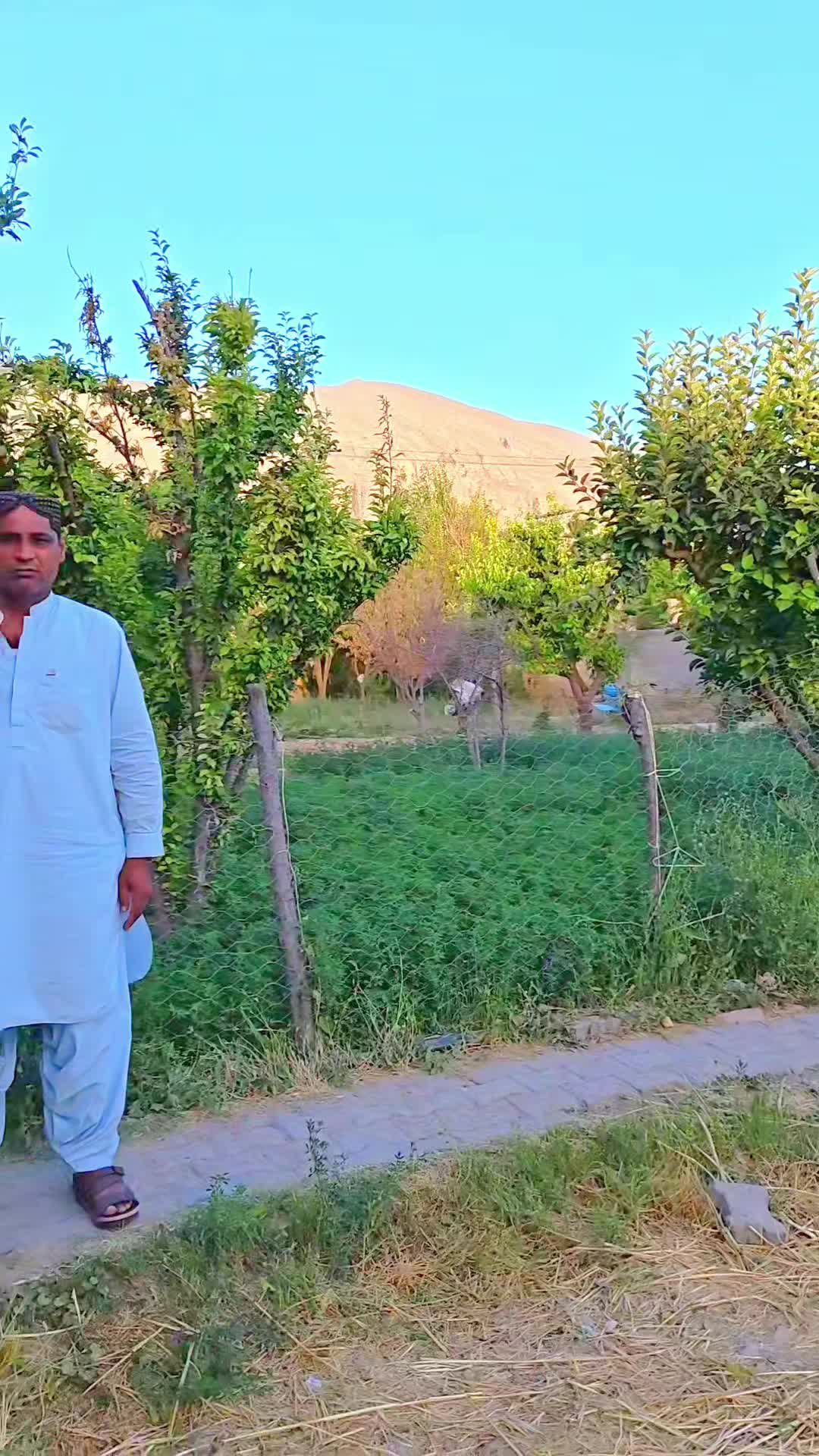 @QAZI M IDREES